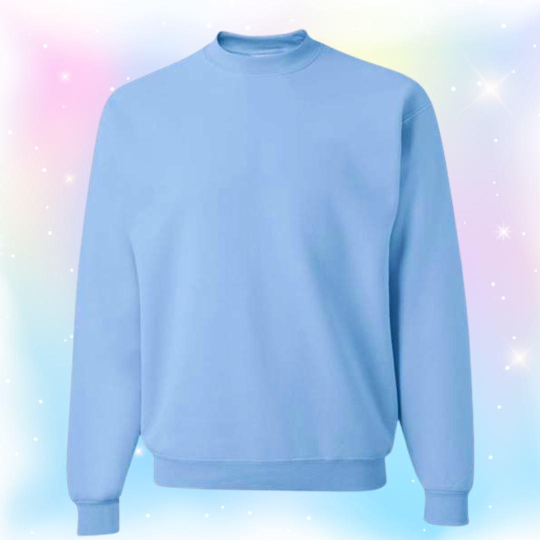π©΅π𫧠SEASHELL KITTY π«§ππ©΅ crewneck